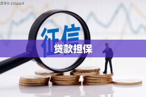 岳塘贷款担保