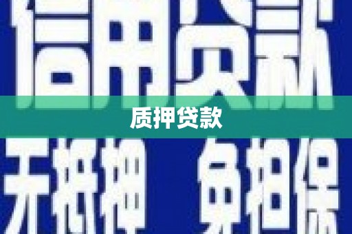 岳塘质押贷款