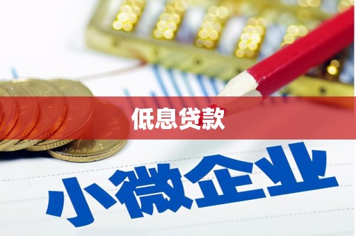 岳塘低息贷款