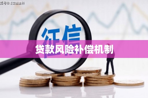 岳塘贷款风险补偿机制