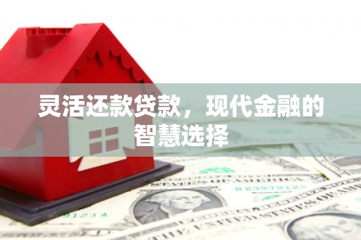 岳塘灵活还款贷款，现代金融的智慧选择