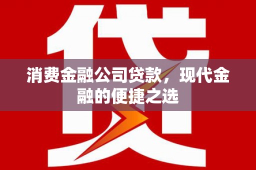 岳塘消费金融公司贷款，现代金融的便捷之选