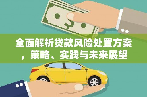 岳塘全面解析贷款风险处置方案，策略、实践与未来展望