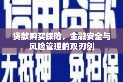 岳塘贷款购买保险，金融安全与风险管理的双刃剑