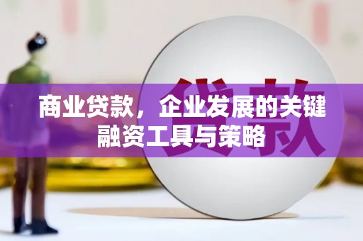 岳塘商业贷款，企业发展的关键融资工具与策略
