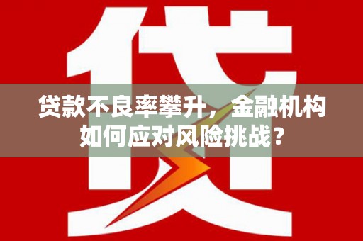 岳塘贷款不良率攀升，金融机构如何应对风险挑战？