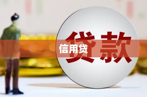 岳塘信用贷