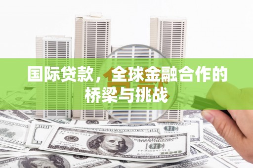 岳塘国际贷款，全球金融合作的桥梁与挑战
