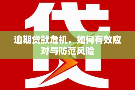 岳塘逾期贷款危机，如何有效应对与防范风险