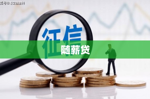 岳塘随薪贷