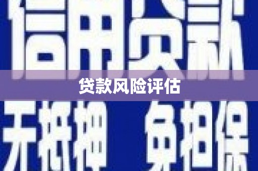 岳塘贷款风险评估