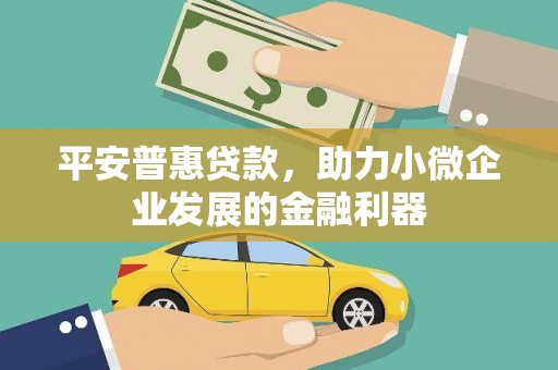 岳塘平安普惠贷款，助力小微企业发展的金融利器