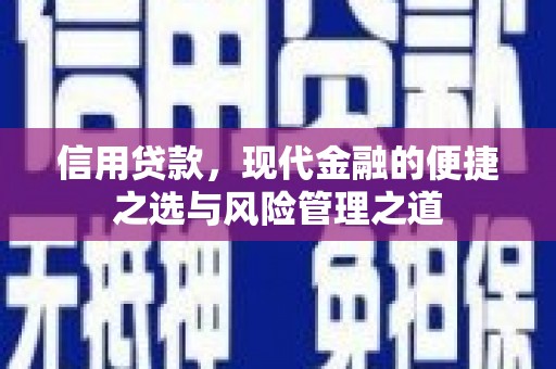 岳塘信用贷款，现代金融的便捷之选与风险管理之道