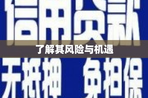 岳塘了解其风险与机遇