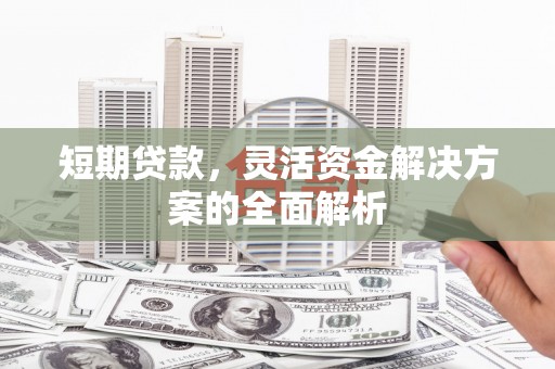 岳塘短期贷款，灵活资金解决方案的全面解析