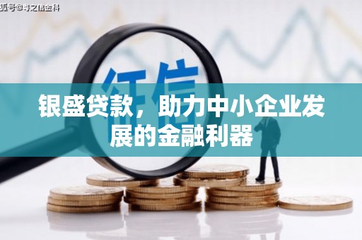 岳塘银盛贷款，助力中小企业发展的金融利器