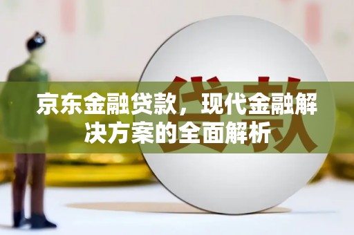 岳塘京东金融贷款，现代金融解决方案的全面解析