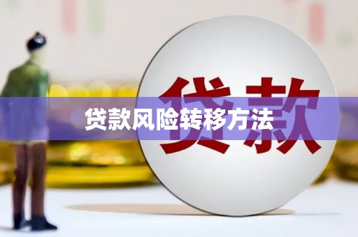 岳塘贷款风险转移方法