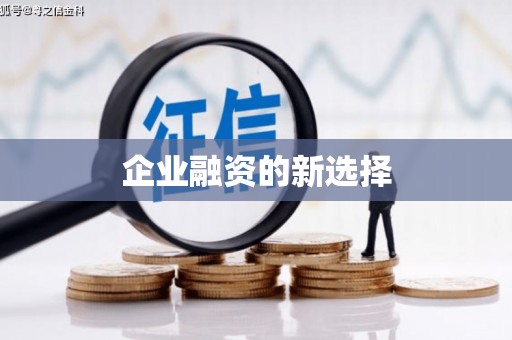岳塘企业融资的新选择