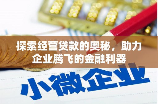 岳塘探索经营贷款的奥秘，助力企业腾飞的金融利器