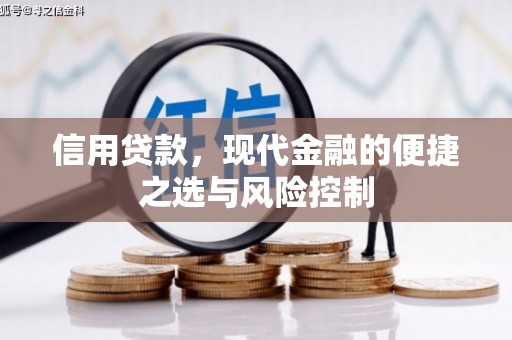 岳塘信用贷款，现代金融的便捷之选与风险控制