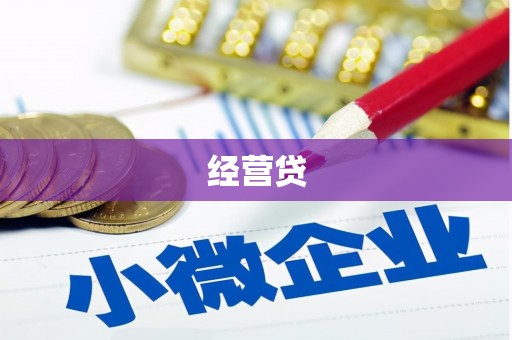岳塘经营贷