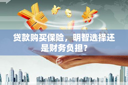 岳塘贷款购买保险，明智选择还是财务负担？