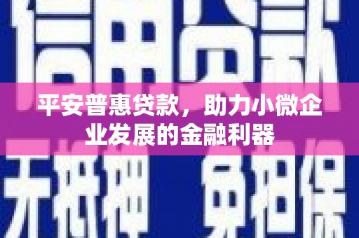 岳塘平安普惠贷款，助力小微企业发展的金融利器