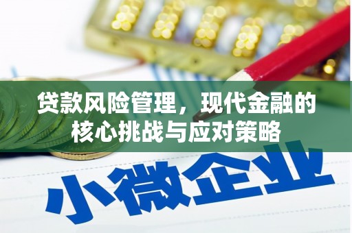 岳塘贷款风险管理，现代金融的核心挑战与应对策略