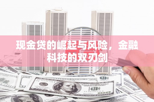 岳塘现金贷的崛起与风险，金融科技的双刃剑