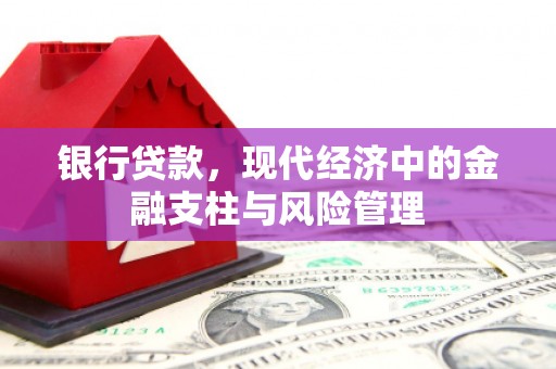 岳塘银行贷款，现代经济中的金融支柱与风险管理