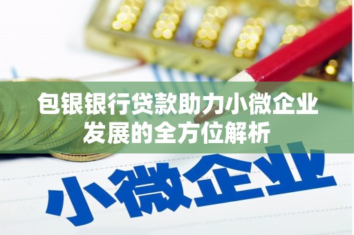 岳塘包银银行贷款助力小微企业发展的全方位解析