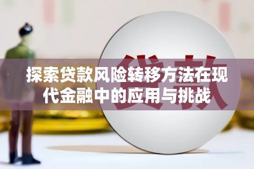 岳塘探索贷款风险转移方法在现代金融中的应用与挑战