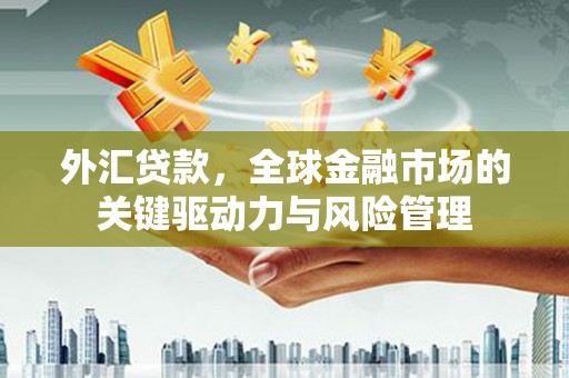 岳塘外汇贷款，全球金融市场的关键驱动力与风险管理