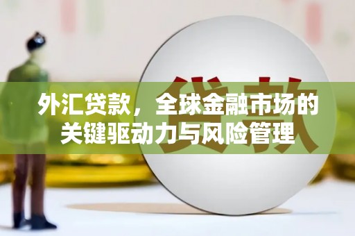 岳塘外汇贷款，全球金融市场的关键驱动力与风险管理