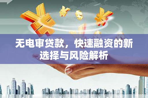 岳塘无电审贷款，快速融资的新选择与风险解析