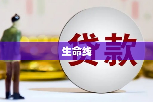 岳塘生命线