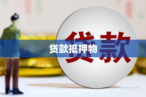 岳塘贷款抵押物