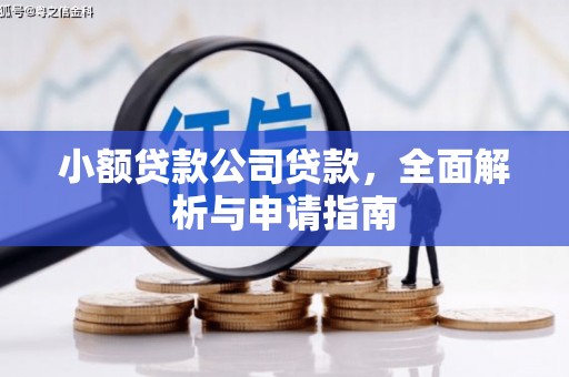 岳塘小额贷款公司贷款，全面解析与申请指南