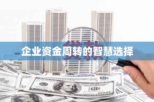 岳塘企业资金周转的智慧选择