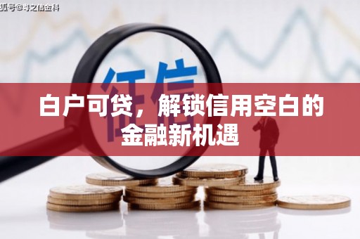 岳塘白户可贷，解锁信用空白的金融新机遇