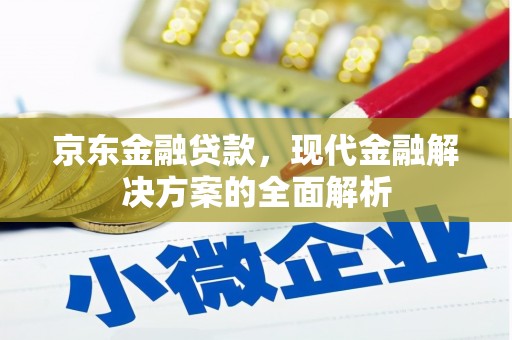 岳塘京东金融贷款，现代金融解决方案的全面解析