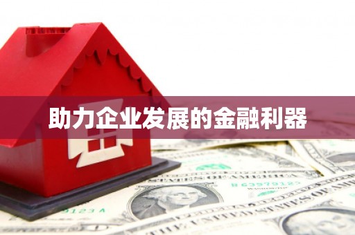 岳塘助力企业发展的金融利器