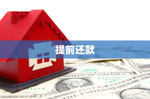 岳塘提前还款