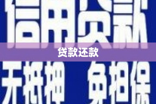 岳塘贷款还款