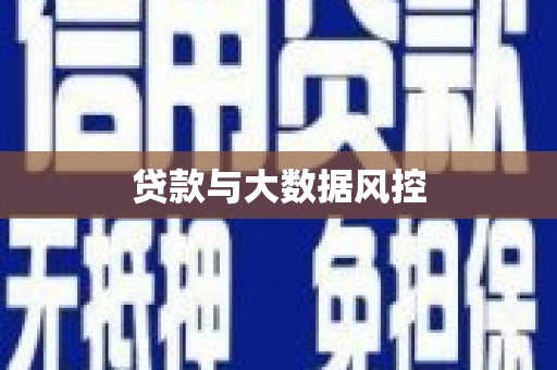 岳塘贷款与大数据风控
