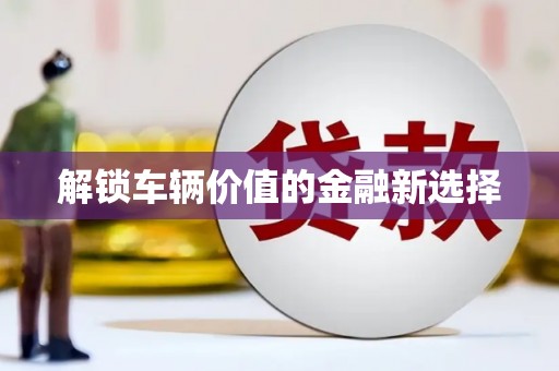 岳塘解锁车辆价值的金融新选择