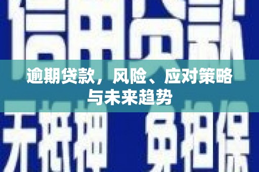 岳塘逾期贷款，风险、应对策略与未来趋势