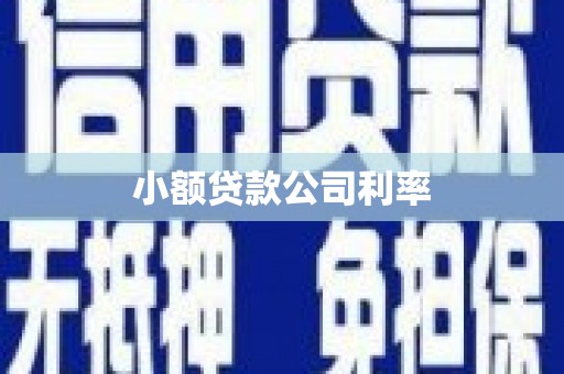 岳塘小额贷款公司利率