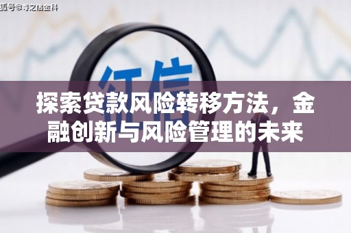 岳塘探索贷款风险转移方法，金融创新与风险管理的未来